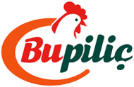 logo (2)